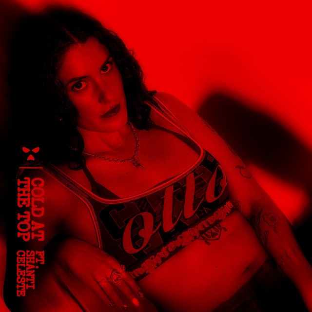 Cold at the Top - Shanti Celeste Remix